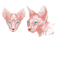 Hairless, sphinx cat, low-poly illustartion.