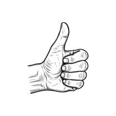 Vintage Illustration of a Hand in Thumbs Up Gesture