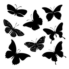 Butterflies Silhouette: A captivating silhouette of diverse butterflies, captured in a graphic, elegant style. This art piece emphasizes intricate wing details. 