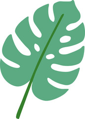 트로피컬 잎사귀 몬스테라와 바나나잎