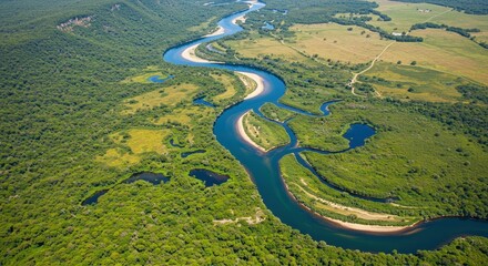Fototapeta premium Aerial view of a winding river flowing through lush green forest and open fields.