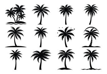 Collection of Black Silhouette Palm Trees Vector collection on white background