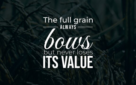 Inspirational text is set against a close-up wheat field image, symbolizing wisdom, humility, value, and growth. A meaningful expression emphasizes perseverance and intrinsic worth, evoking motivation
