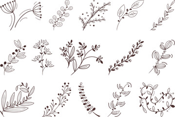 Set of Elegant hand-drawn botanical vector featuring floral branches and leaves, ideal for wedding invitations, organic packaging, minimalist decor, and nature-themed graphic design projects.

