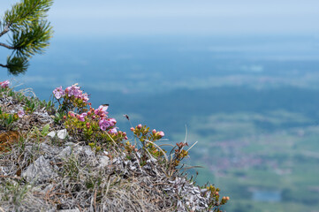 herzogstand, Ausblick vom Wanderweg, bei Walchensee