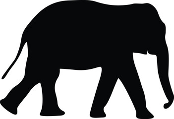 Fototapeta premium Baby elephant. Black. Slihouette. vector. elephant. black silhouette