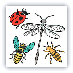 Watercolor dragonfly set png. Realistic watercolor dragonfly on transparent background. Watercolor insects. Nature and botany concept. Vector illustration.