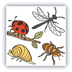 Watercolor dragonfly set png. Realistic watercolor dragonfly on transparent background. Watercolor insects. Nature and botany concept. Vector illustration.