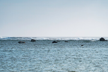 Fototapeta premium 奄美大島_土盛海岸