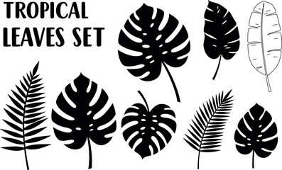 Tropical Leaves Set: Exotic Palm & Monstera Silhouettes

