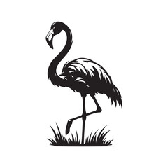 illustration of a flamingo