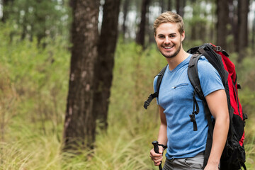 Man hiking on pine forest trail, carrying red black backpack and trekking pole, copy space