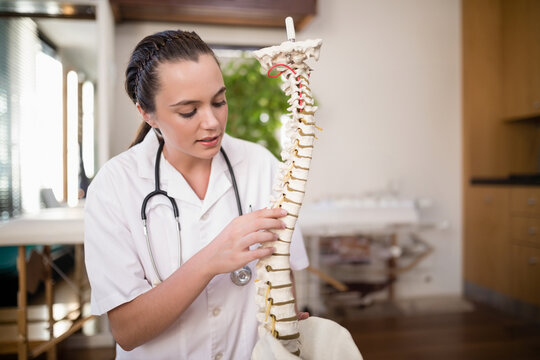Woman wearing lab coat and stethoscope examining spine model beside exam table in clinic by blinds - Powered by Adobe