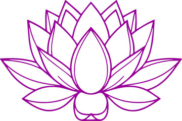 lotus flower vector illustration 