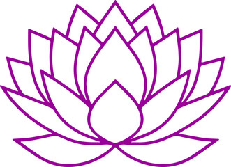 Fototapeta premium lotus flower vector illustration transparent 