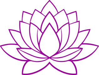 lotus flower vector illustration 