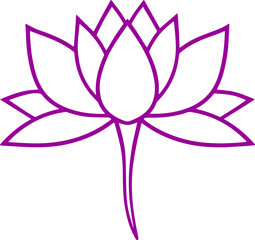 lotus flower vector illustration transparent 