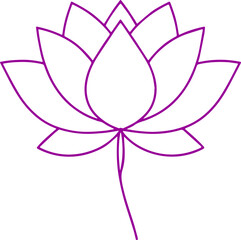 lotus flower vector illustration 