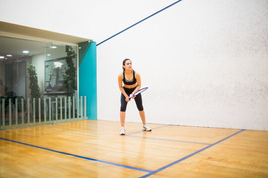 Fototapeta Squash player positioning racket on court with blue lines and glass partition showing plants