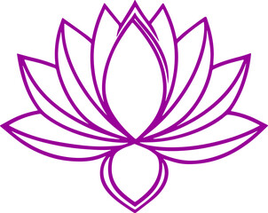lotus flower vector illustration transparent 