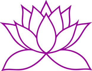 lotus flower vector illustration transparent 