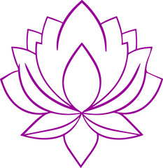 lotus flower vector illustration transparent 