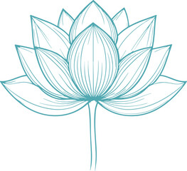 lotus flower vector illustration transparent 