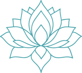 lotus flower vector illustration 