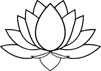 lotus flower vector illustration 
