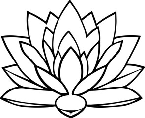 lotus flower vector illustration 
