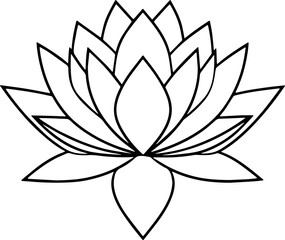 lotus flower vector illustration 