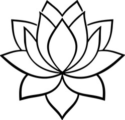 lotus flower vector illustration 