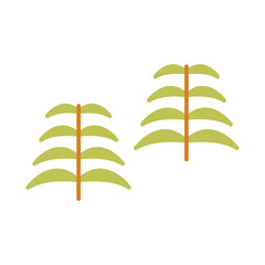 Fern Vector Icon