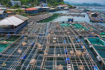 fish farm with fishing cages on water in sea bay in Vietnam in Asia