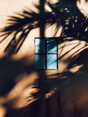 Contrast of Light and Shadow: A Solitary Window's Tale.