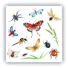 Set of insect illustrations, butterfly, caterpillar, cricket, ant, rhinoceros beetle, stag beetle, ladybug, cockchafer, realistic in 3d style. © Lam