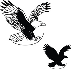 Minimalist Eagle Design Vector Illustration

