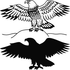 Realistic Eagle Bird Vector Illustration
