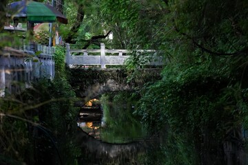 landscape of natural