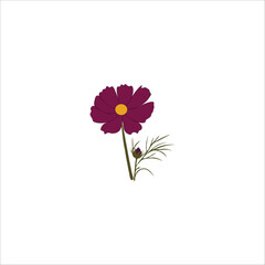 Flower illustration