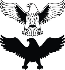 Detailed Eagle Drawing Vector Illustration
