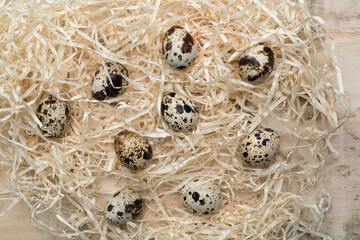 Quail eggs scattered randomly in straw, still life, top view