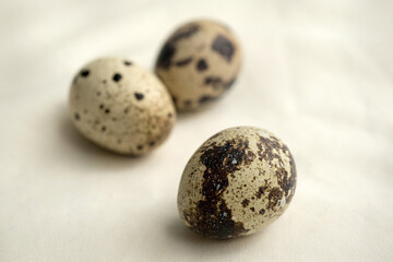 Close up focus on spotted quail eggs on a fabric surface