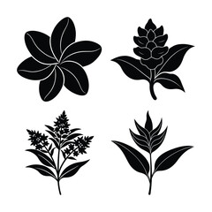 silhouette of 4 list flowers bundle on the white background