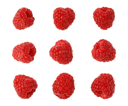 Nine fresh raspberries rotating on transparent background