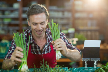 Male vendor arranging green onion bunches at market stall wearing red apron with blank price sign