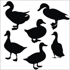 Various duck silhouettes display diverse poses and forms, exhibiting unique avian features for illustration