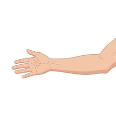 Vector illustration of human right hand on white background
