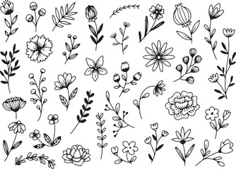 Botanical Plant and Flower Doodles Vector, Hand Drawn Nature Clipart, Black and White Floral Sketch Elements,