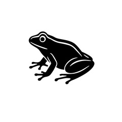 Vector illustration of frog | Editable frog in size and color | white background